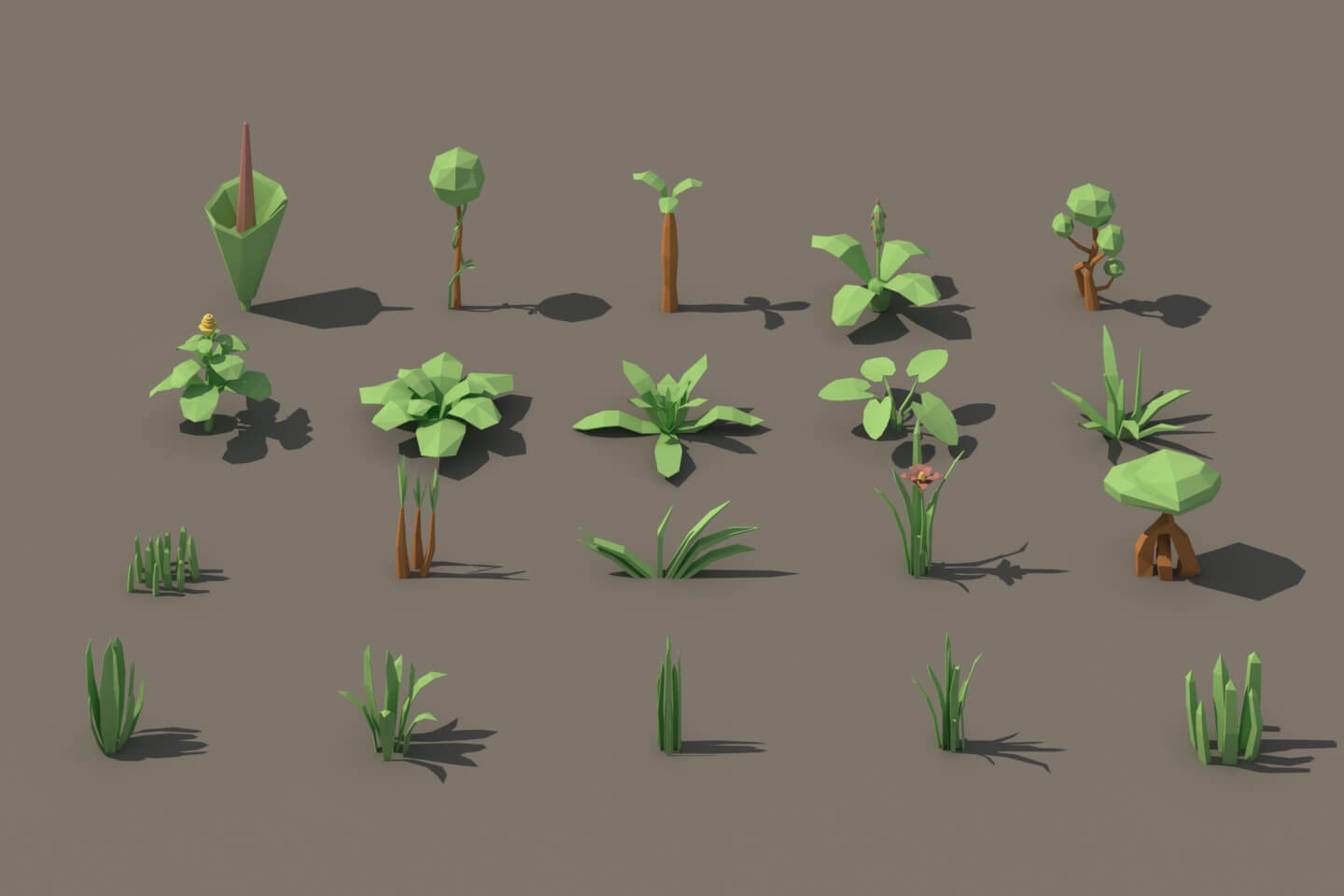 Tropical Plant 3d Low Poly Models 0130